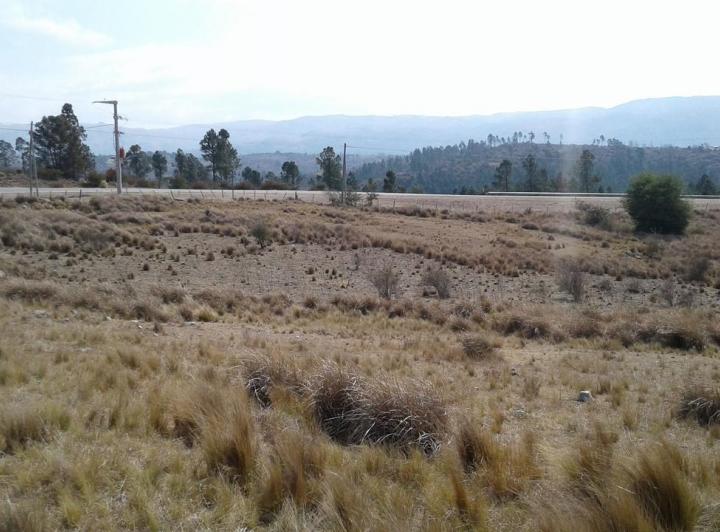 Terreno · 33151m²