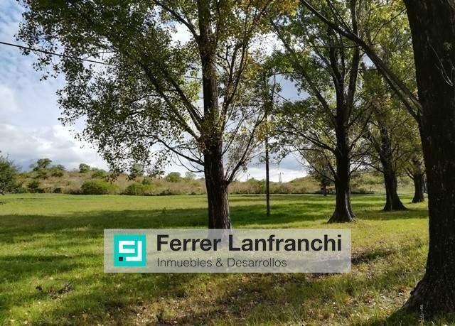 Terreno · 10000m²