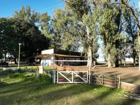 Campo en Venta en Nogoya, Nogoyá