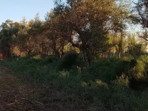 Terreno en Venta en Los Corralitos, Guaymallén