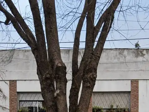 Terreno en Venta en Nuñez, Capital Federal