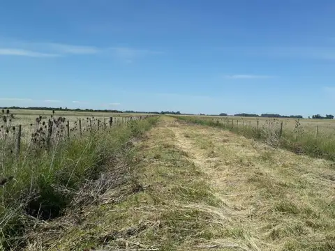 Campo en Venta en La Plata, Partido de La Plata