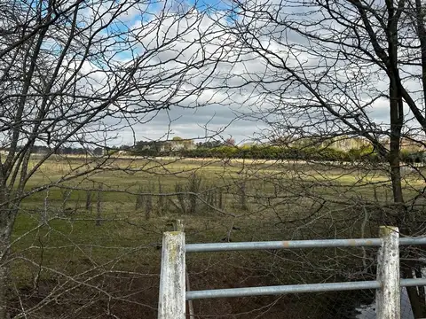 Campo en Venta en Los Pinos, Exaltación de la Cruz