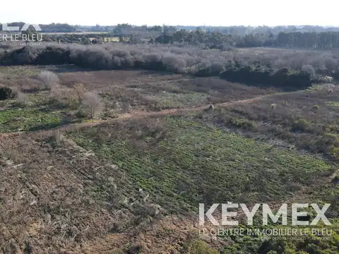 Campo en Venta en Villa Astolfi, Partido de Pilar