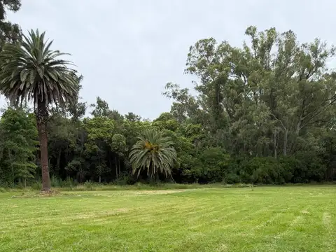 Quinta en Venta en San Carlos, Partido de La Plata
