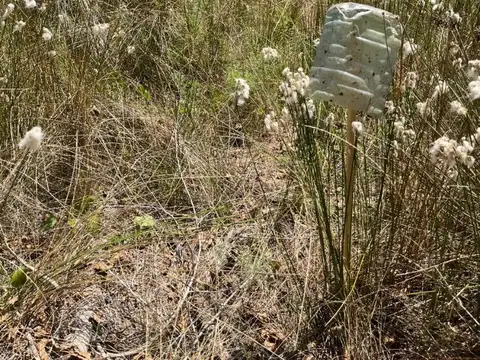 Terreno en Venta en Nueva Atlantis, Partido de La Costa