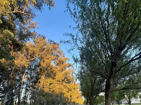 Terreno en Venta en Coronel Brandsen, Partido de Brandsen