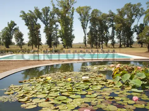 Terreno en Venta en Los Tres Pinos, Countries y Barrios Cerrados en General Rodriguez