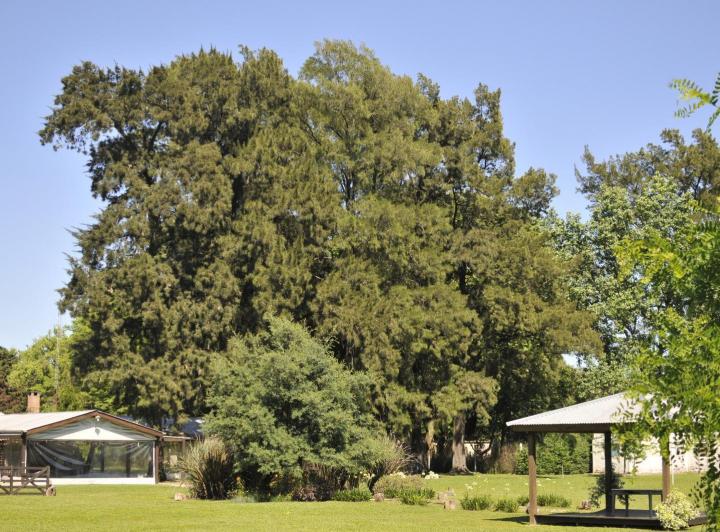 Terreno · 15000m² · 6 Ambientes