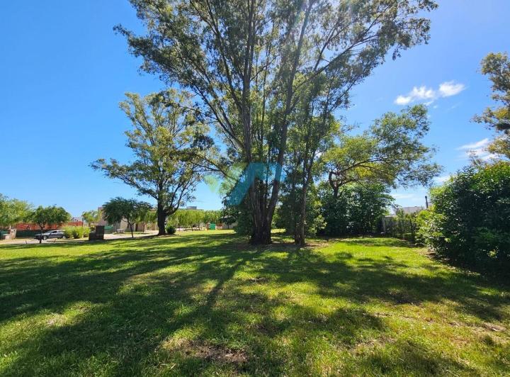 Terreno · 503m²