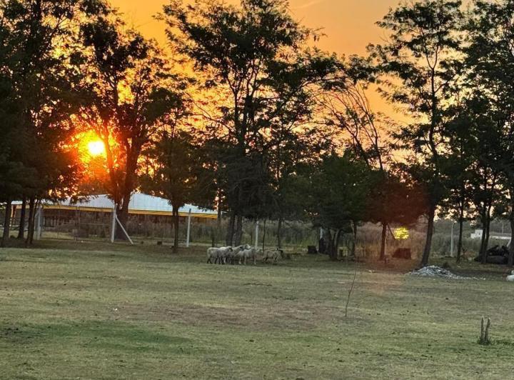 Campo · 200m² · 7 Ambientes · 3 Cocheras