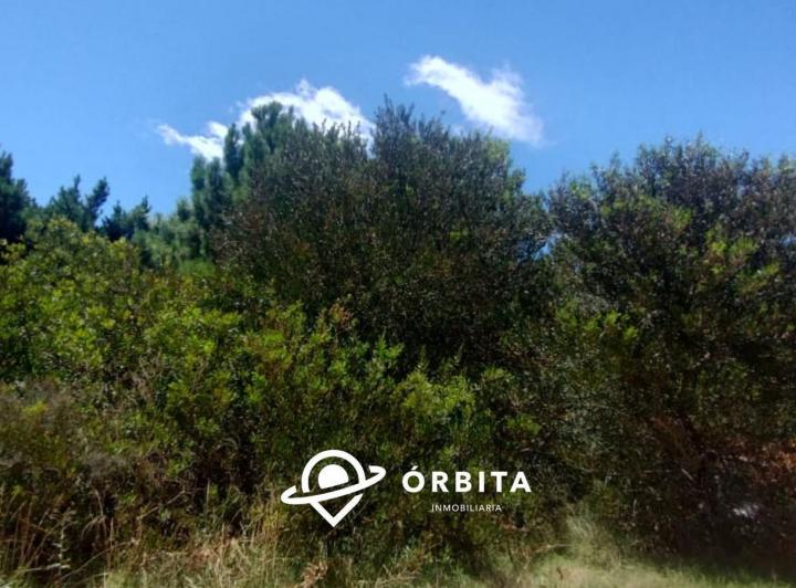 Terreno · 1223m²