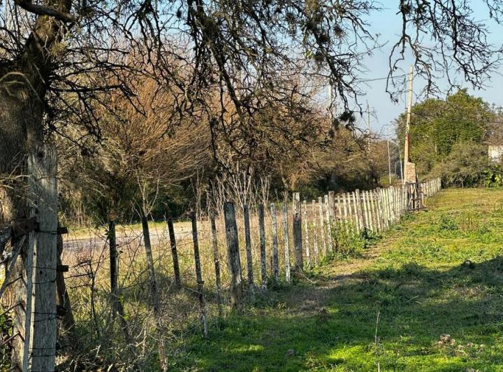 Campo · 150m² · 4 Ambientes