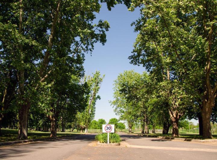 Terreno · 790m²