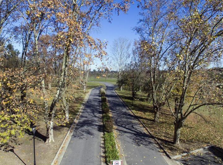 Terreno · 832m²