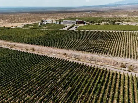 Terreno en Venta en Mendoza, Capital