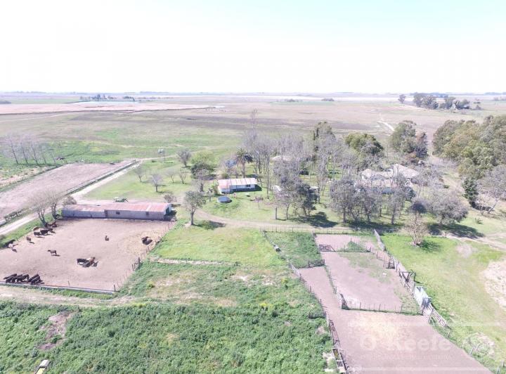 Campo · 500m² · 12 Ambientes