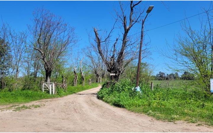 Campo · 960000m²