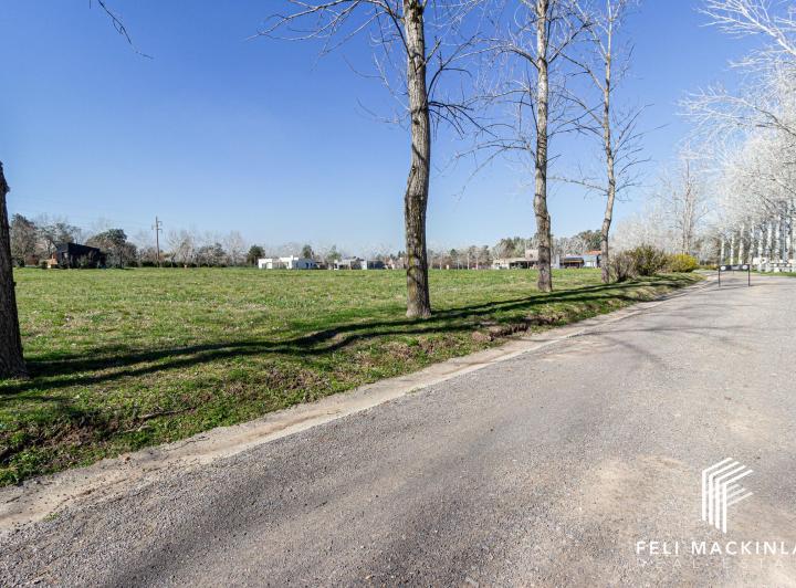 Terreno · 1001m²
