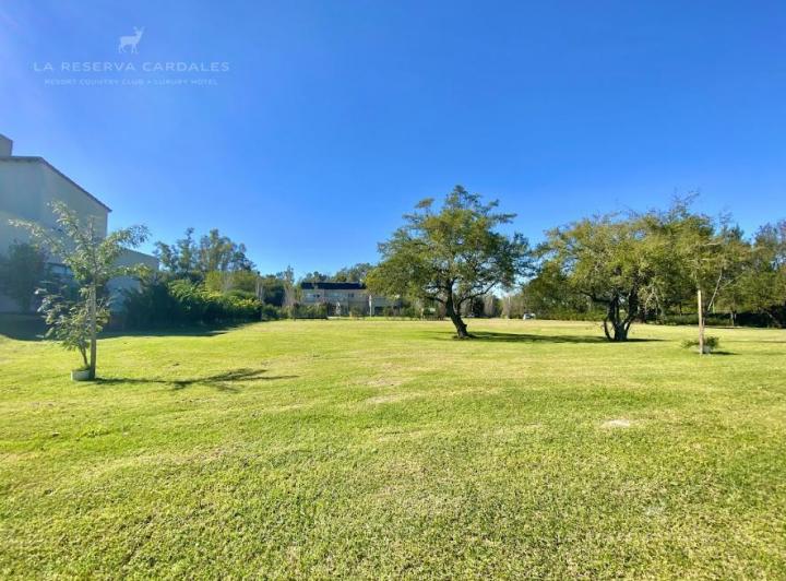 Terreno · 1084m²