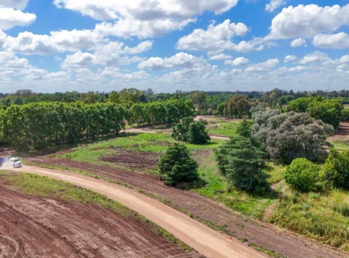 Terreno · 833m²