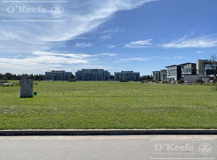Terreno · 1000m²