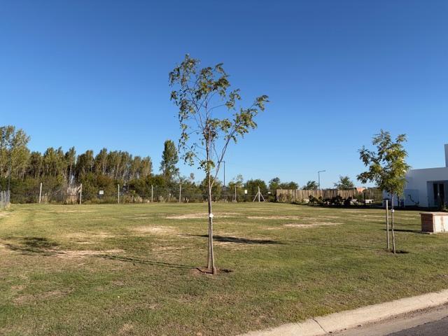 Terreno · 541m²