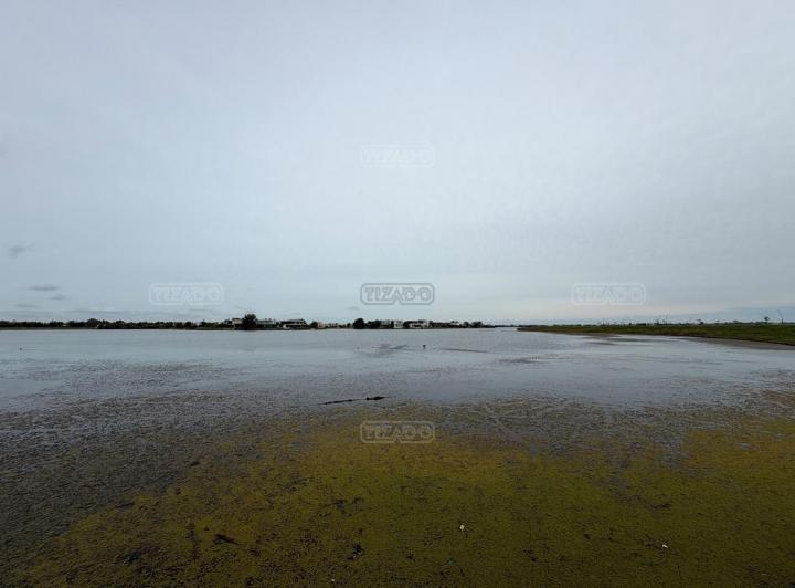 Terreno · 1003m²