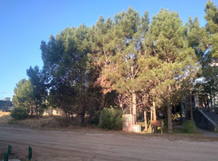 Terreno · 1000m²