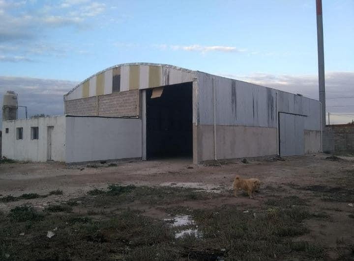 Bodega-Galpón · 375m²