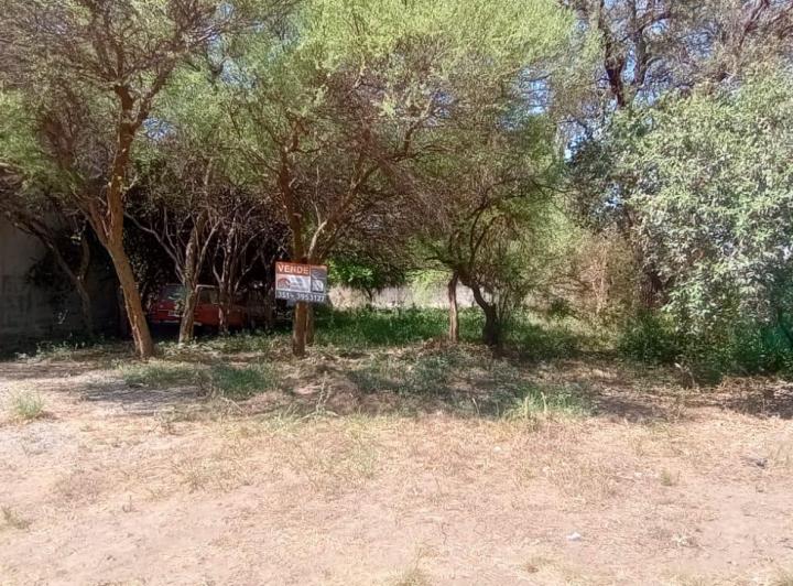 Terreno · 562m²