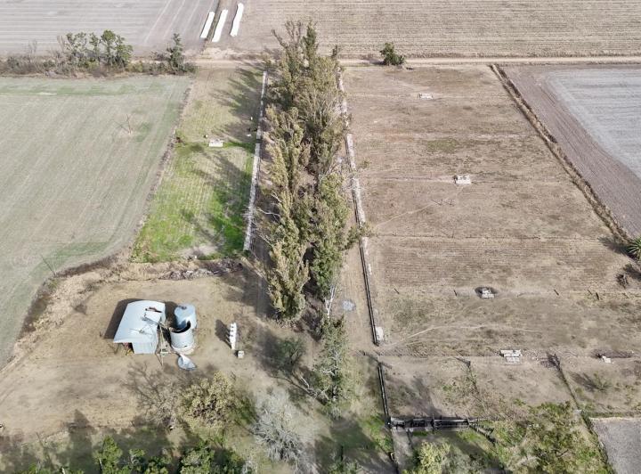 Campo · 35000ha