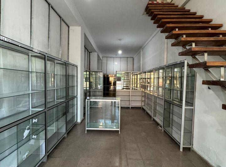 Local comercial · 110m² · 5 Ambientes