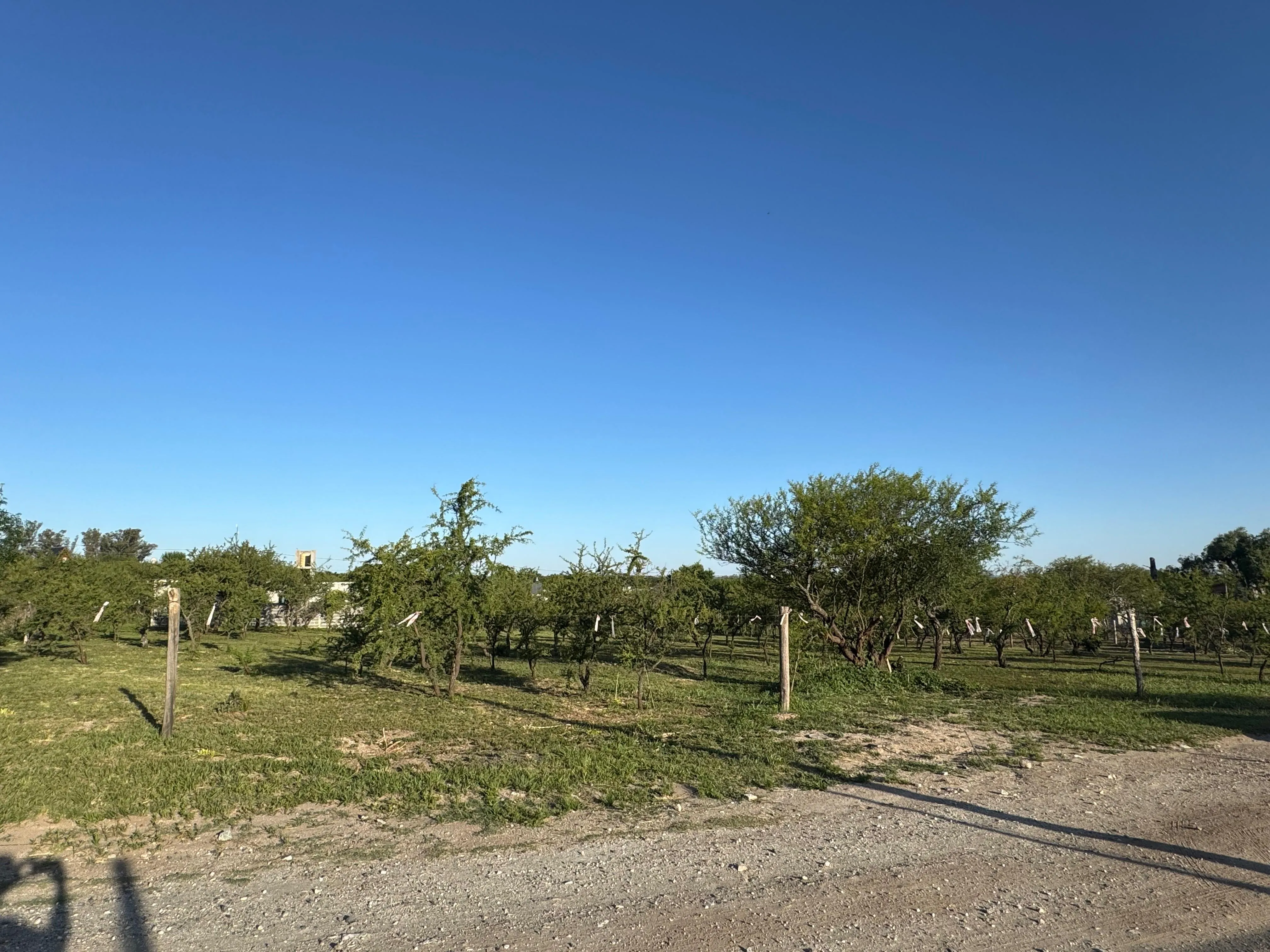 ¡2 LOTES CONTIGUOS EN VENTA – CRUCERO SUD – ALTA GRACIA! FINANCIAMIENTO (CC)
