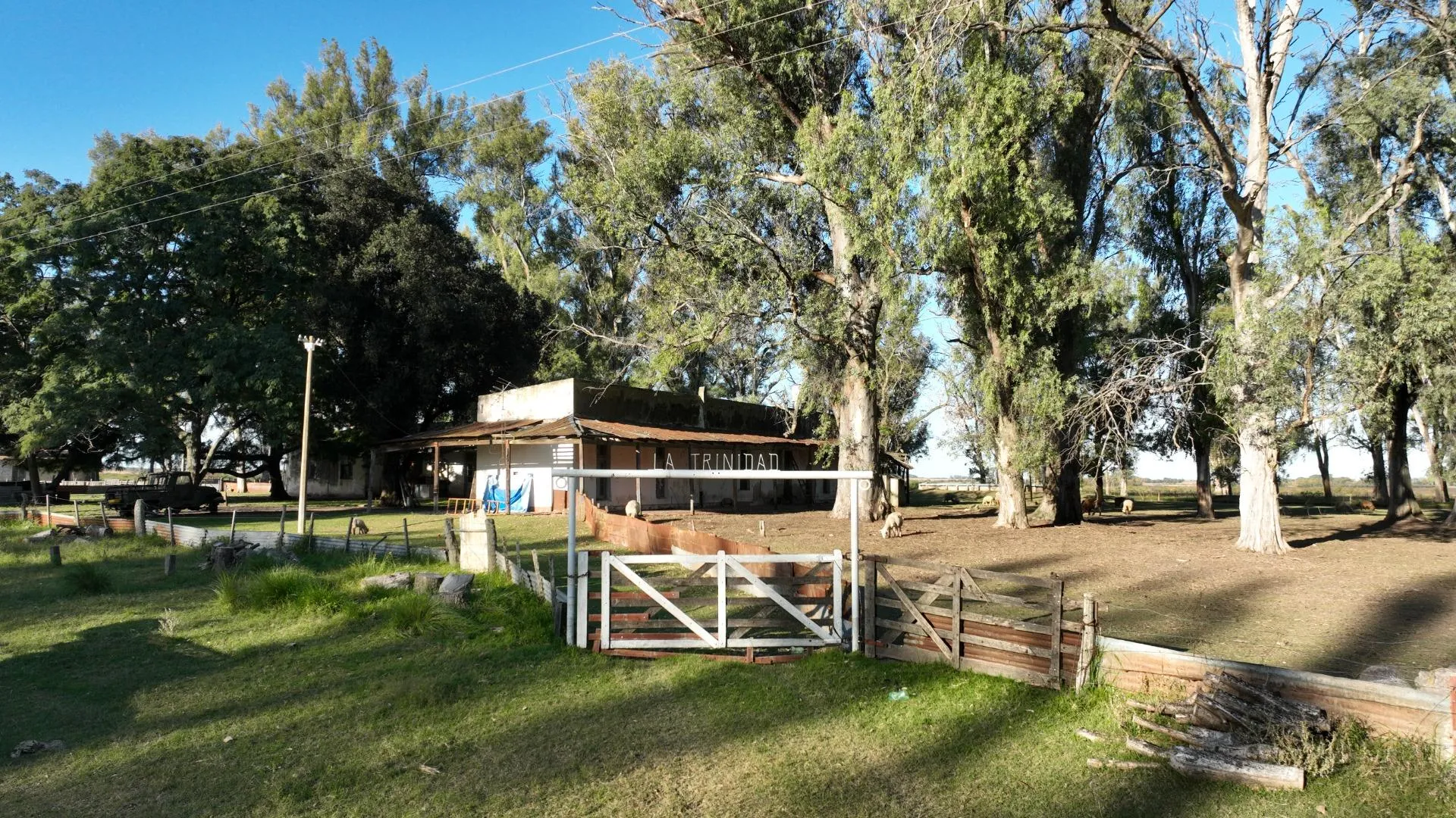 250 hectareas en Don Cristobal