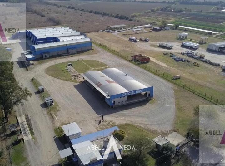 Bodega-Galpón · 6000m²