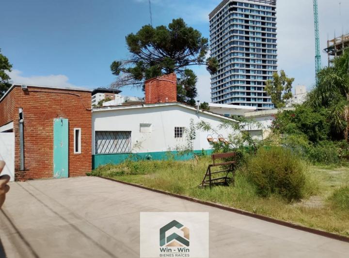 Local comercial · 650m²
