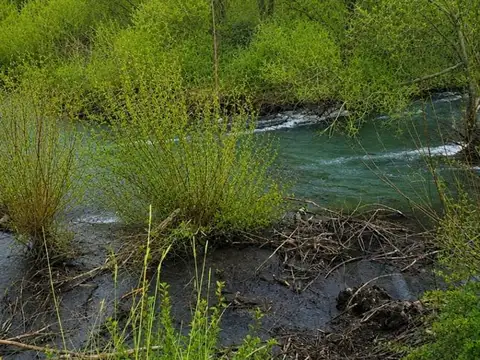 Terreno en Venta en Quilquihue, Huiliches