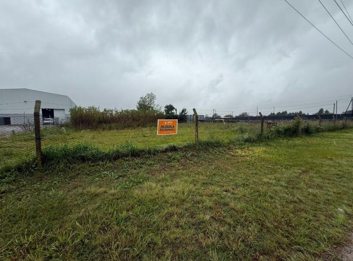 Terreno · 5000m²