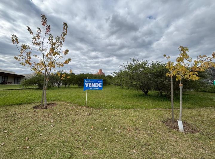 Terreno · 1073m²