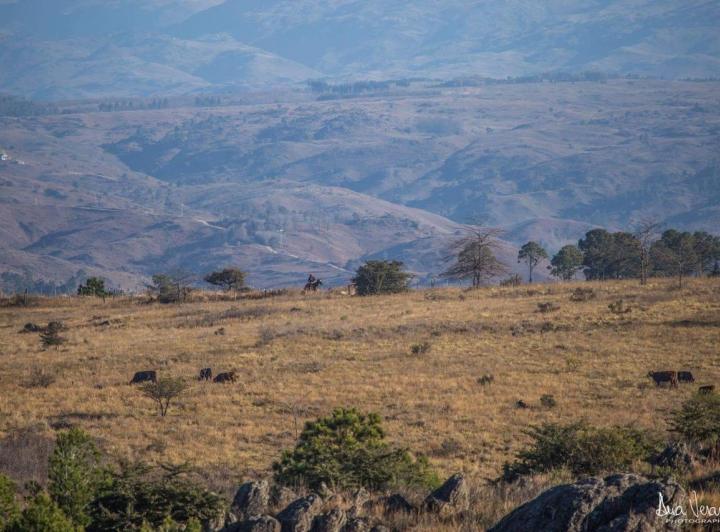 Campo · 120m² · 4 Ambientes · 1 Cochera