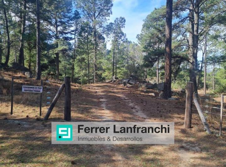 Terreno · 32200m²