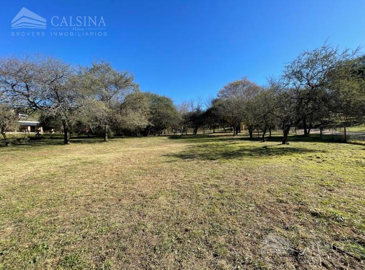 Terreno · 3600m²
