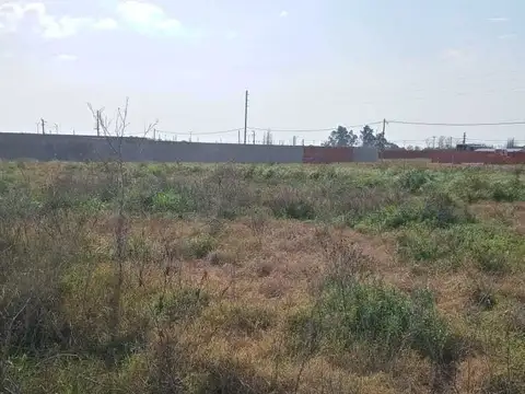 Terreno en Venta en Centro  - Zarate, Zarate