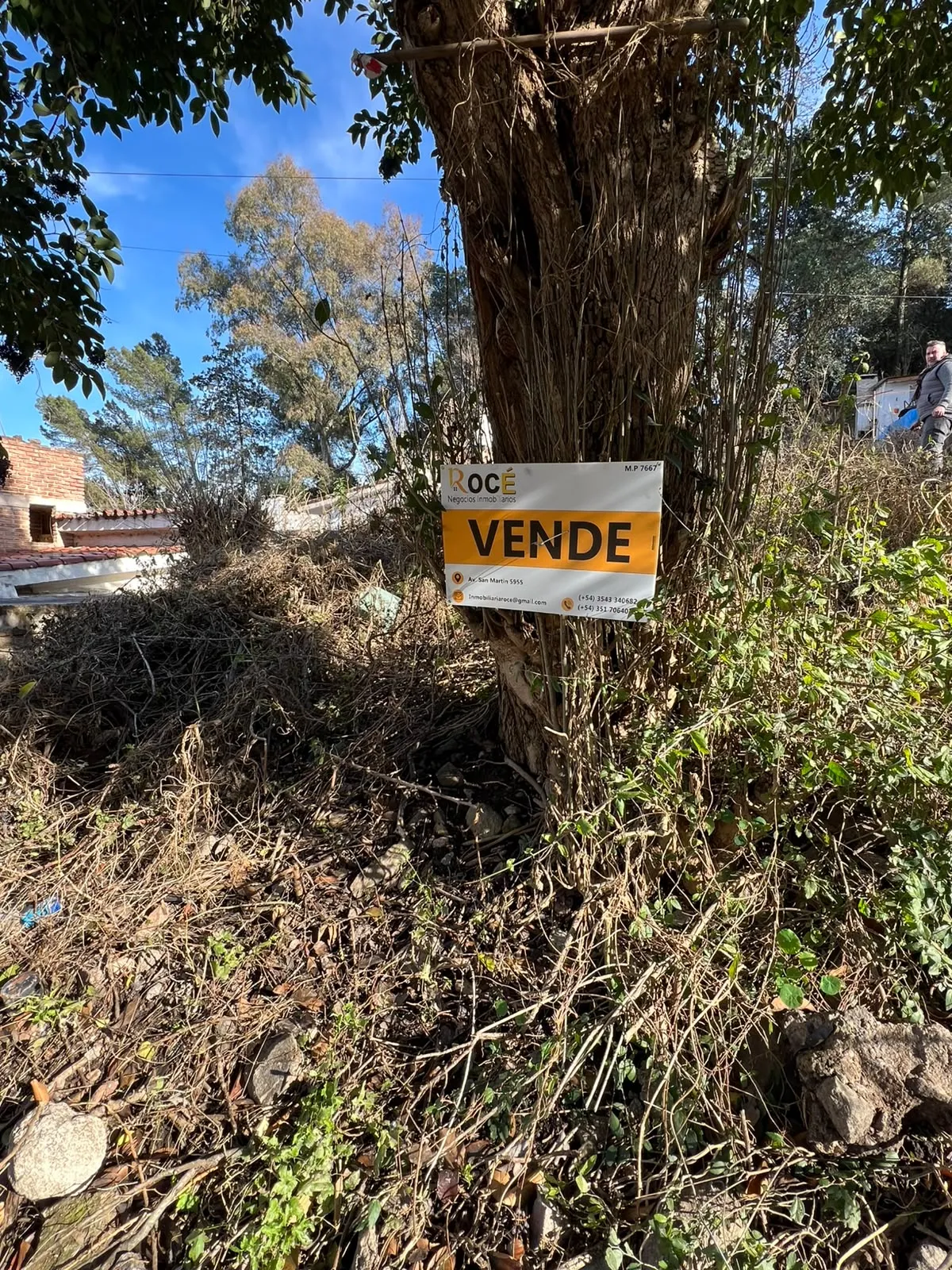 Lote en VENTA