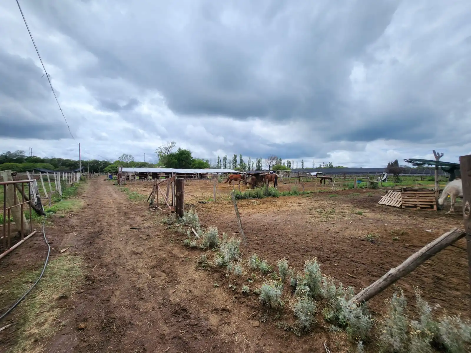 Venta Fracción de 3 15 Hectáreas Villa Retiro