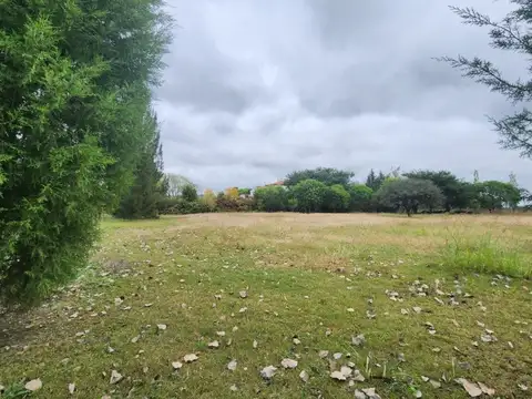 Terreno en Venta en San Agustín, Cerrillos