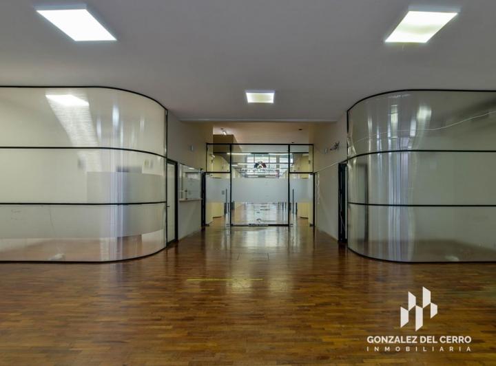 Local comercial · 463m² · 2 Ambientes