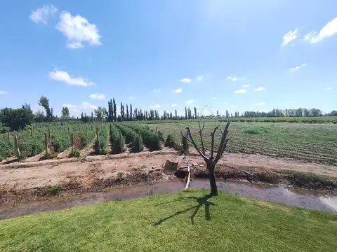Campo en Venta en Las Heras, Mendoza