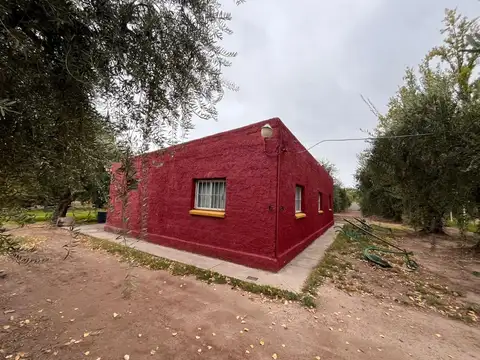 Quinta en Venta en Coquimbito, Maipú